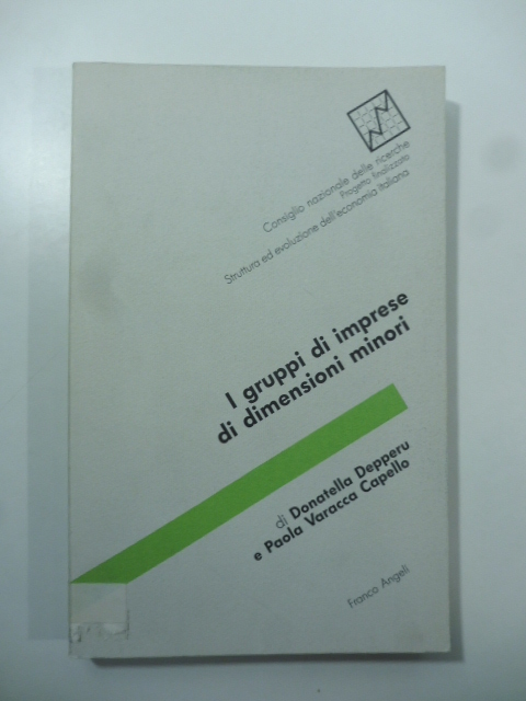 I gruppi di imprese di dimensioni minori. Specificità dei ruoli manageriali e imprenditoriali